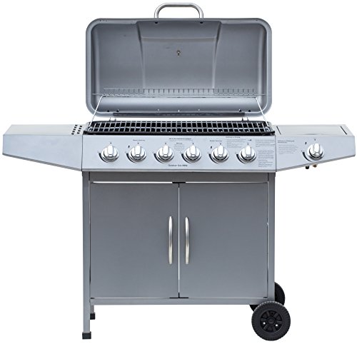 Gasgrill Grillwagen silber modern