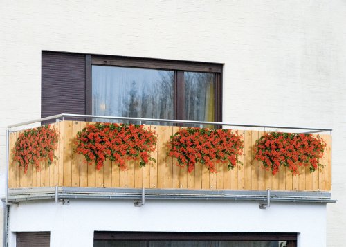 Sichtschutz Geranien