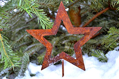 Deko Winterstern auf Stab Edelrost