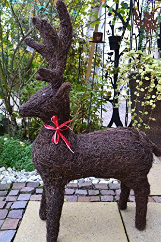 Großes hübsches Rentier Outdoor