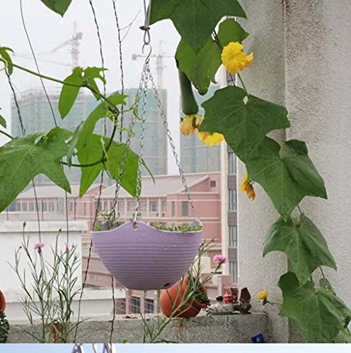 Blumenampel mit Kette (Mehrfarbig)